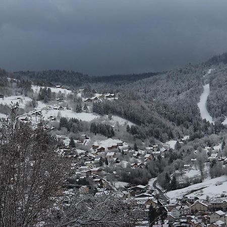 Apartement Sur Les Hauteurs De Gerardmer Avec Une Superbe Vue Exterior photo